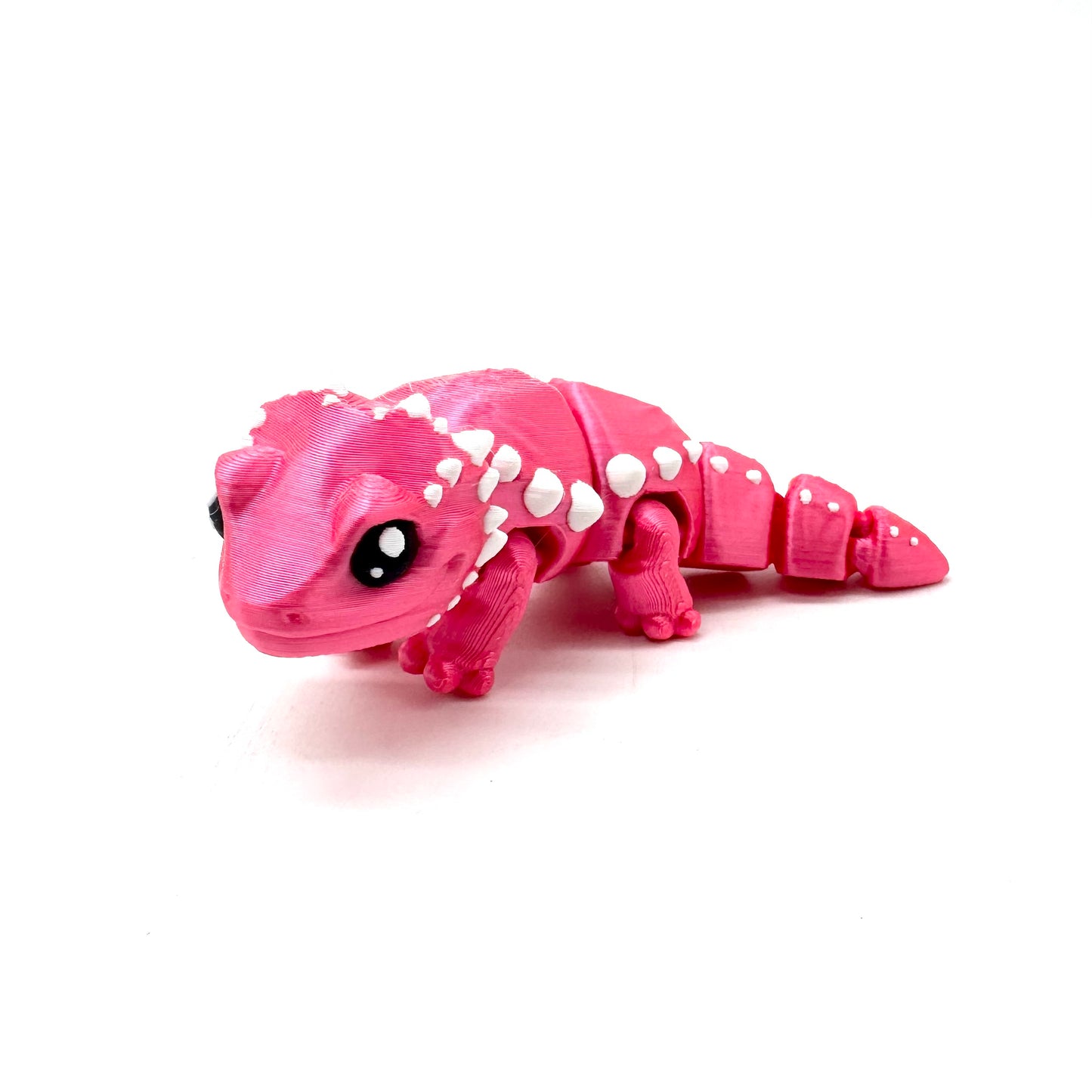 Valentine Pink Shine Beardie