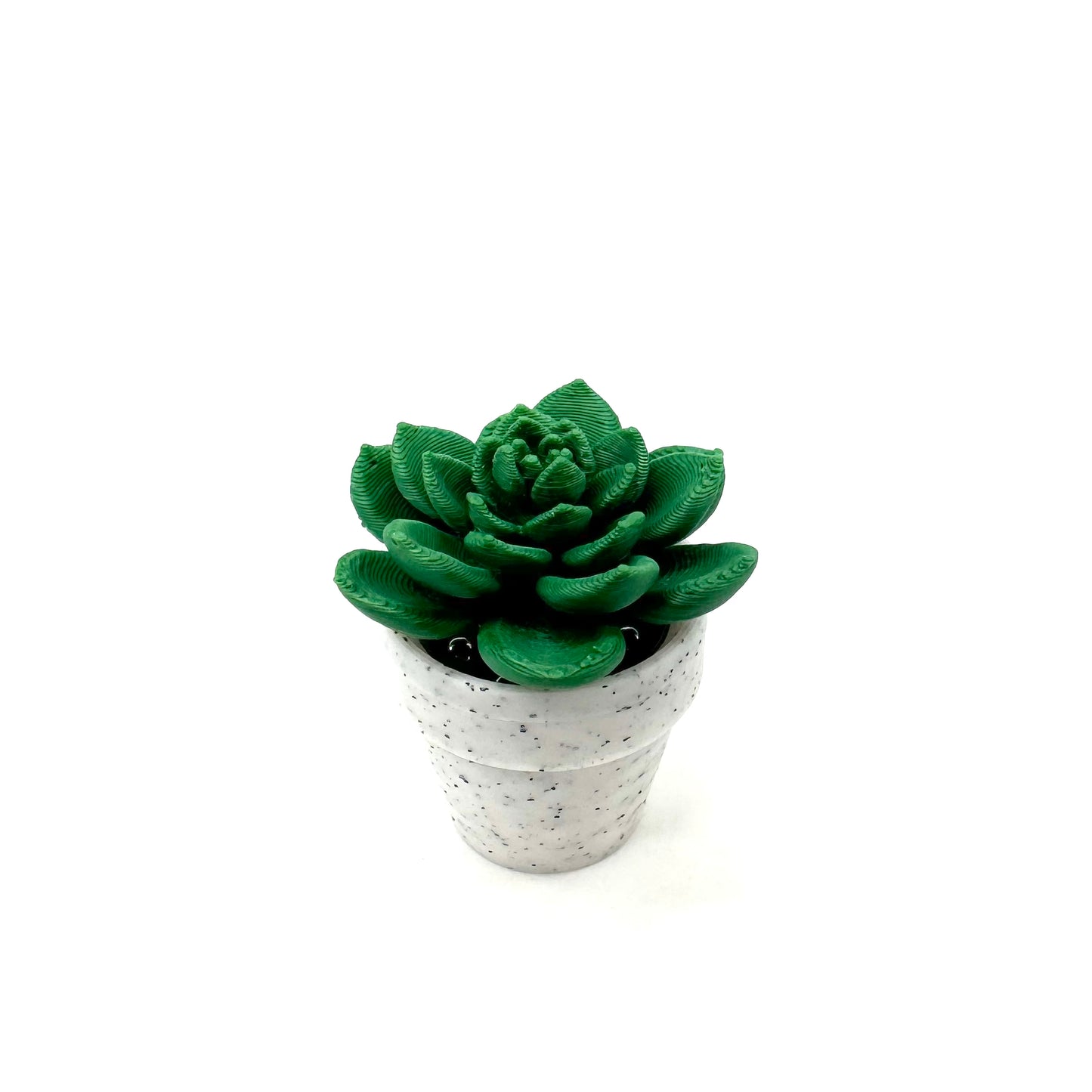 Succulent Spinner