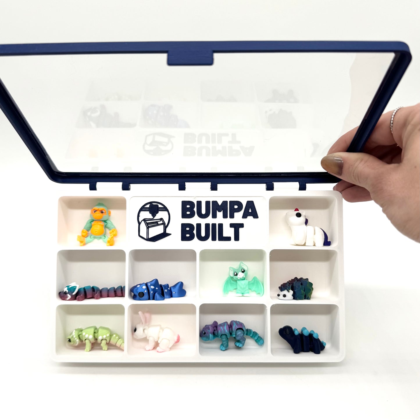 Bumpa Built Display Case