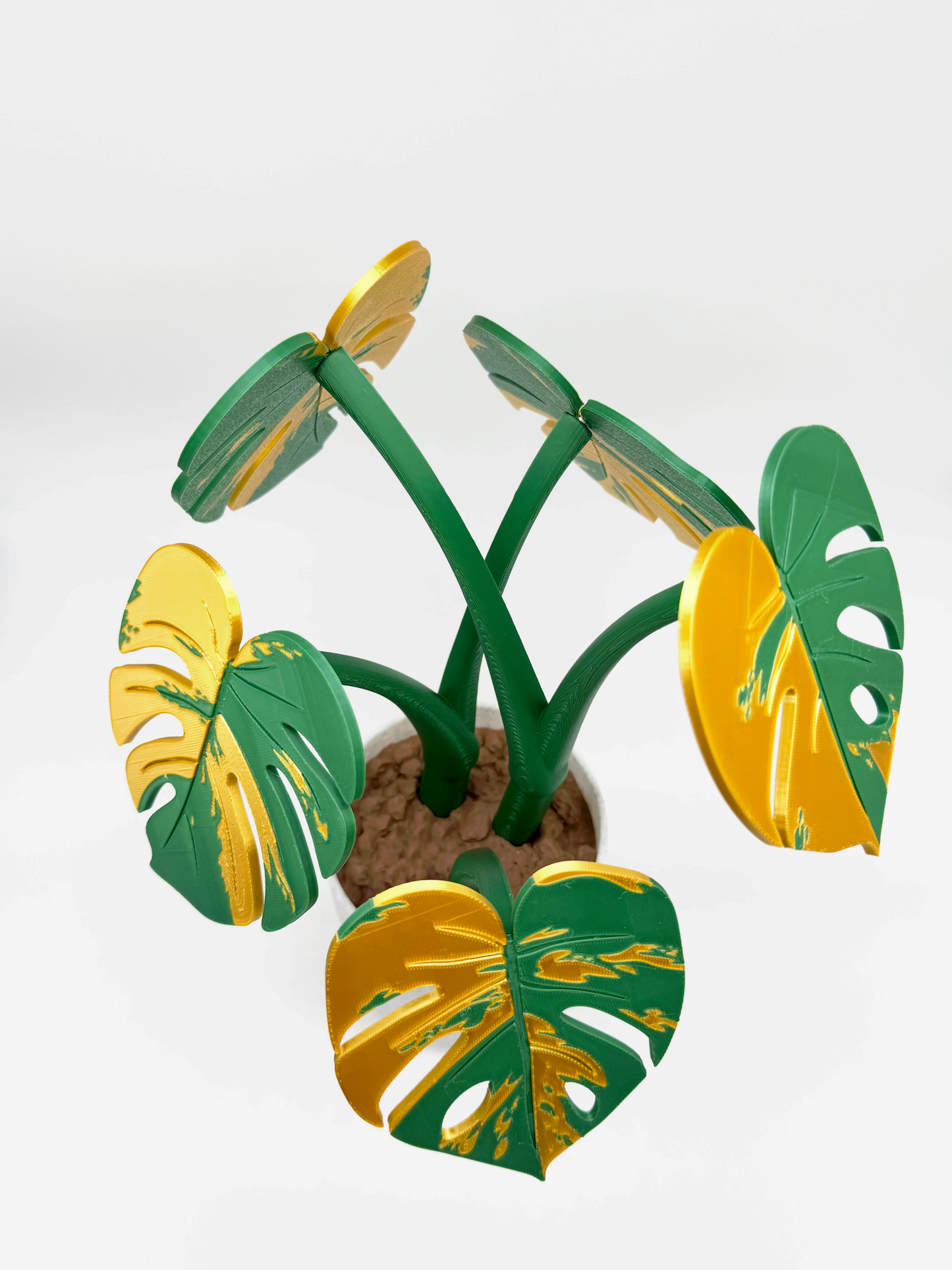Coasterra- Monstera plant Coaster Set