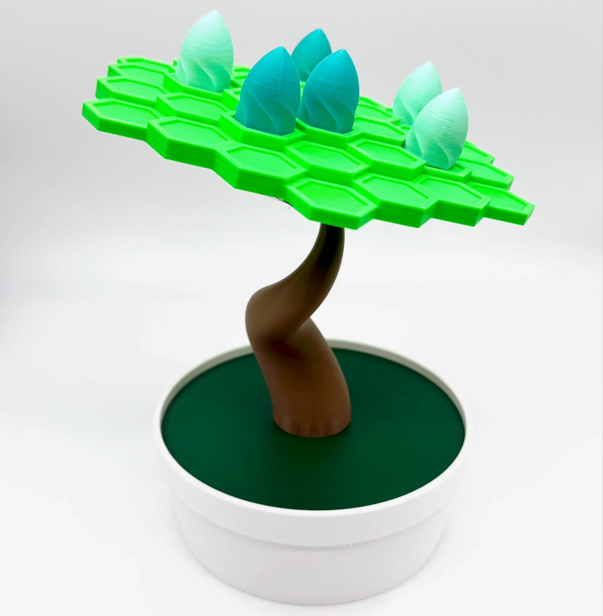 Bonsai Balance – Bumpa Built
