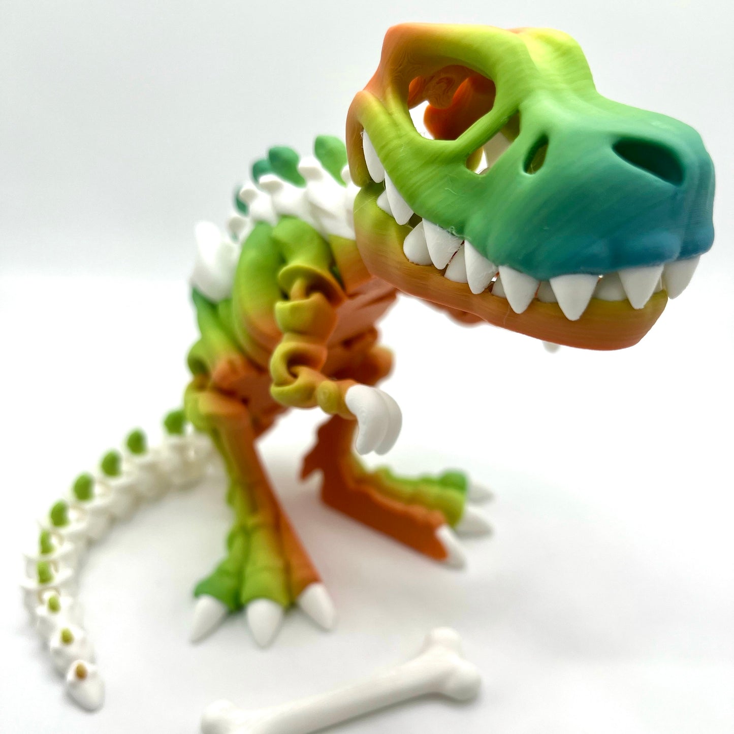 2 Color TRex Skeleton