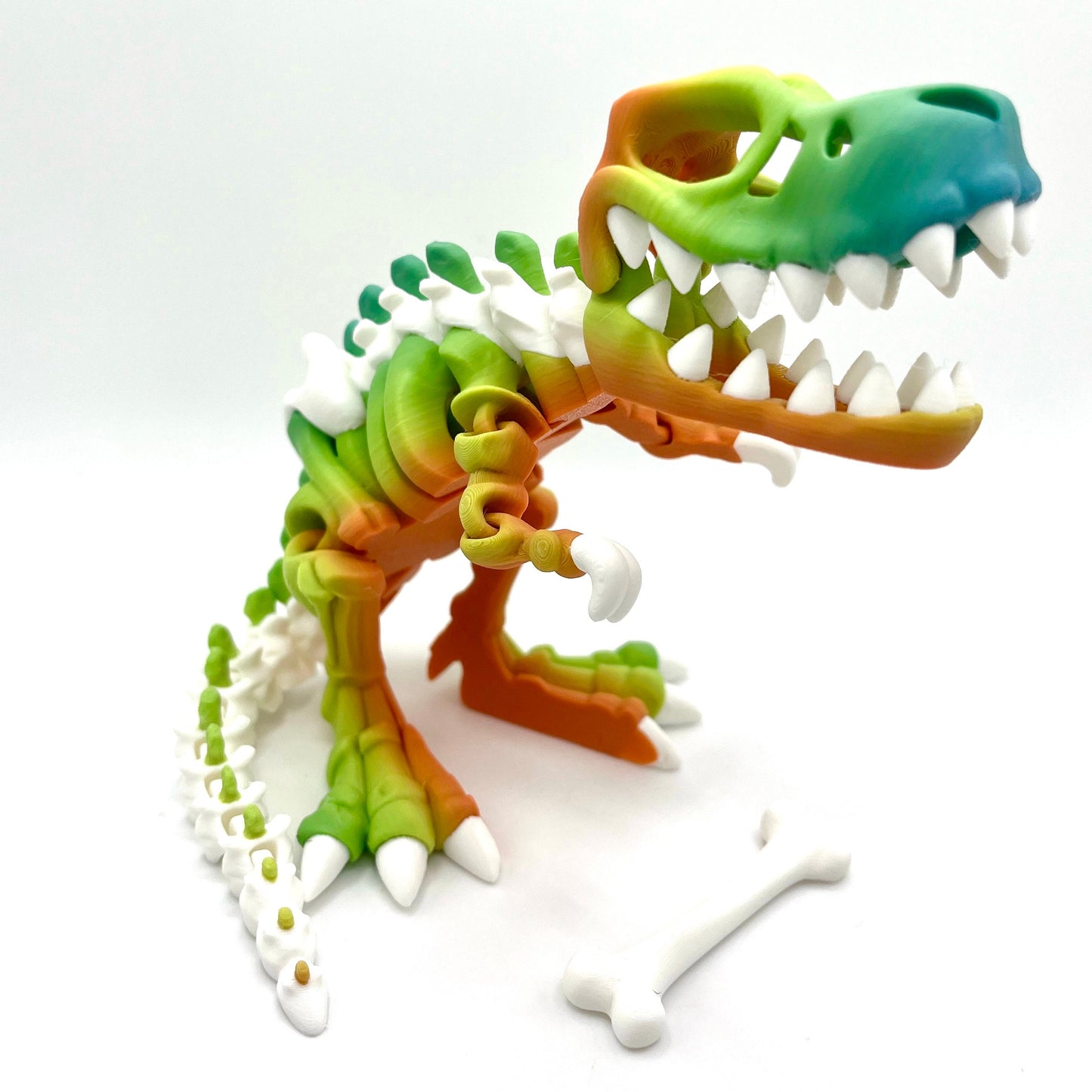 2 Color TRex Skeleton