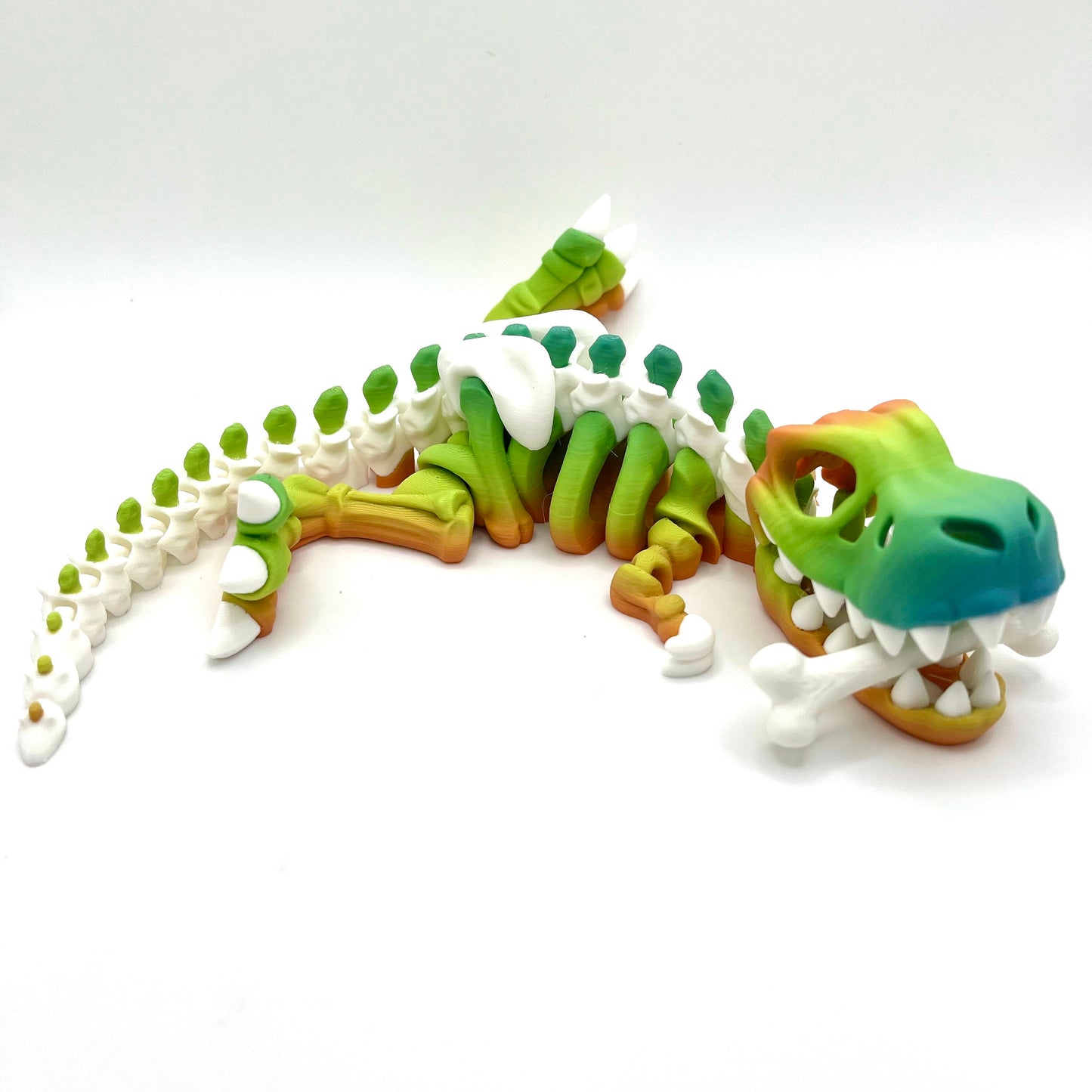 2 Color TRex Skeleton