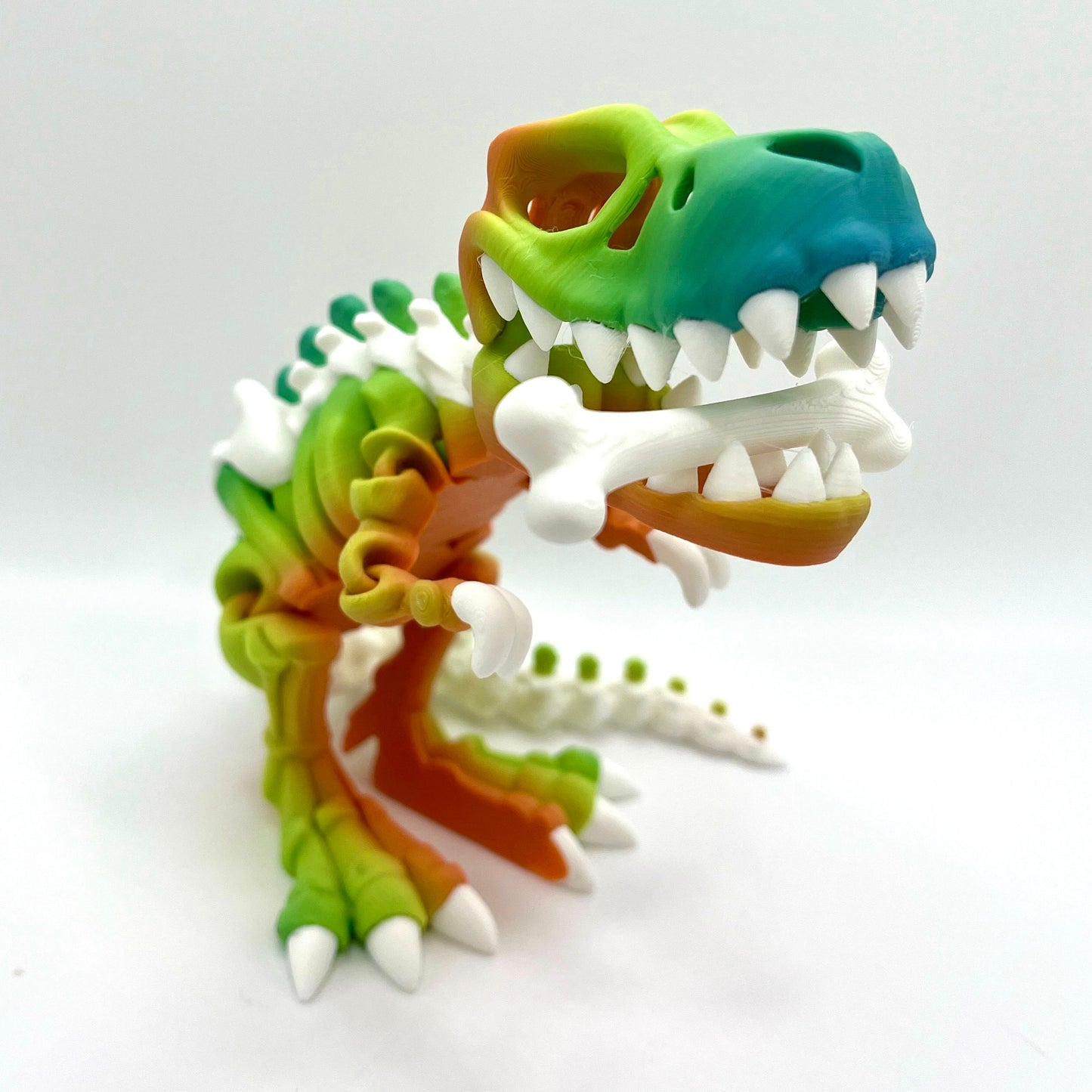 2 Color TRex Skeleton