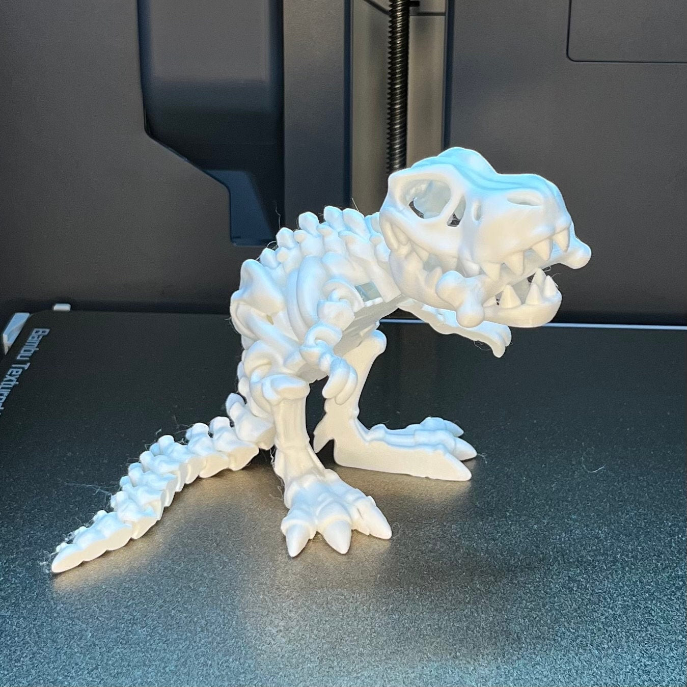 Flexi T-Rex Skeleton Fidget