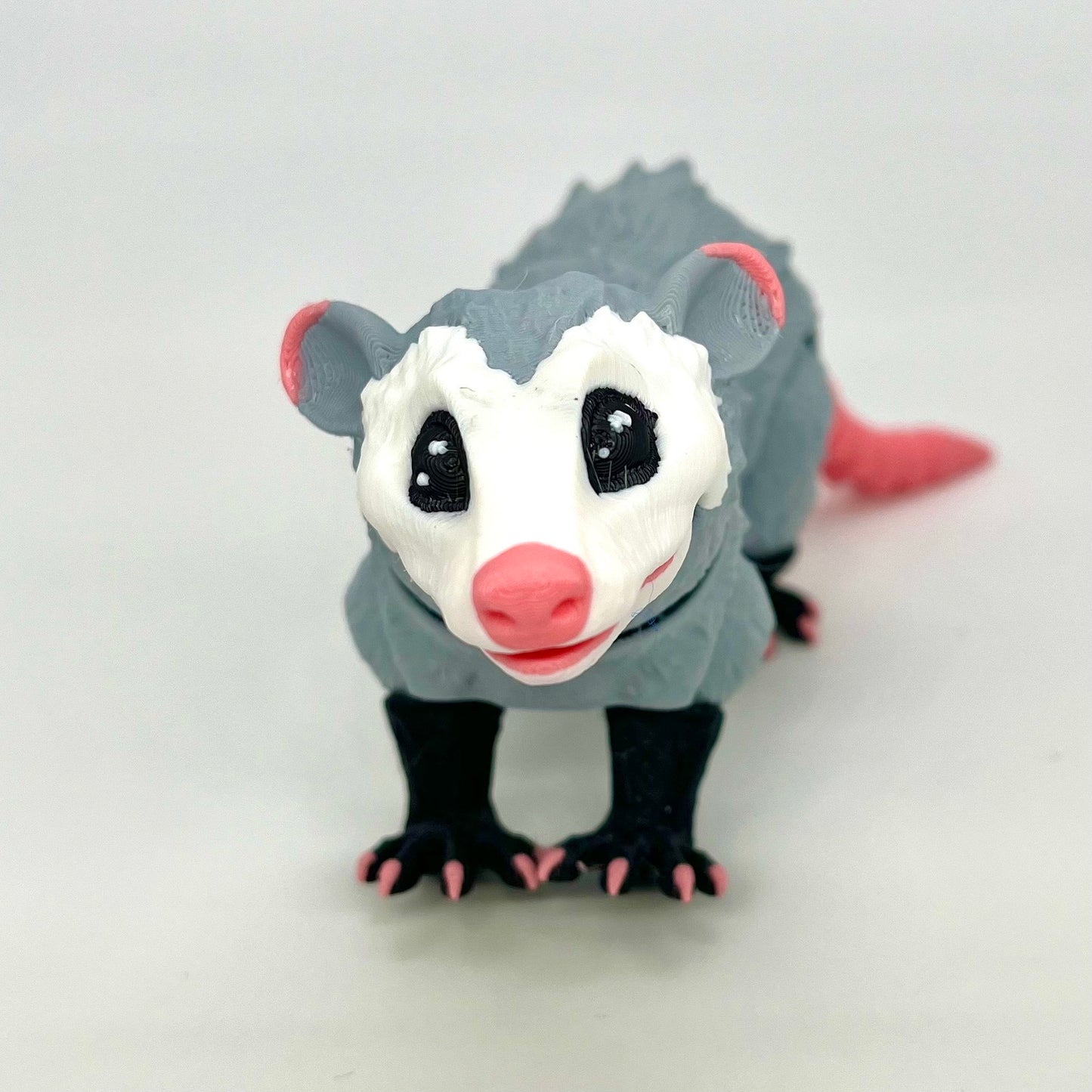 Opossum