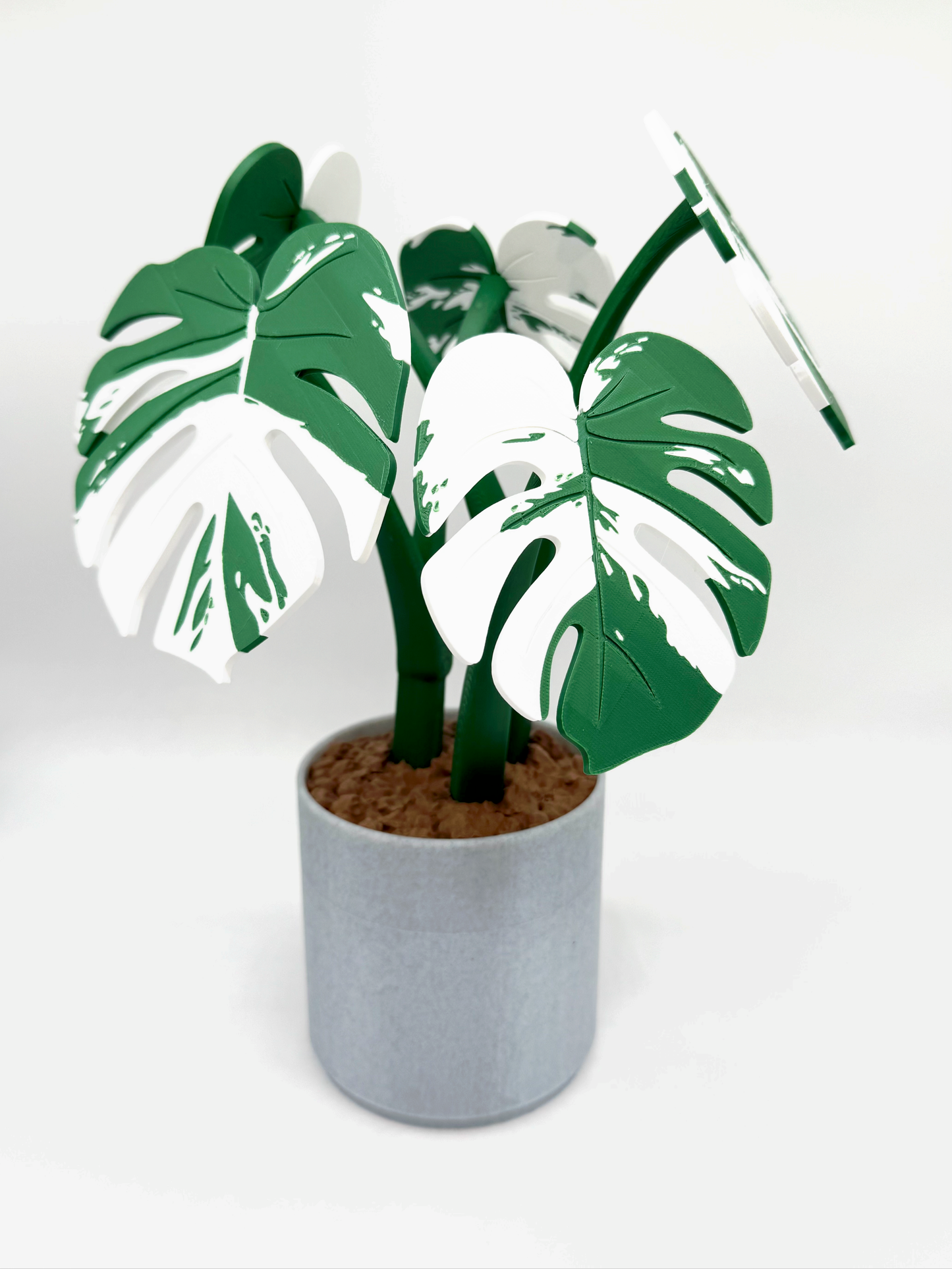 Coasterra- Monstera plant Coaster Set